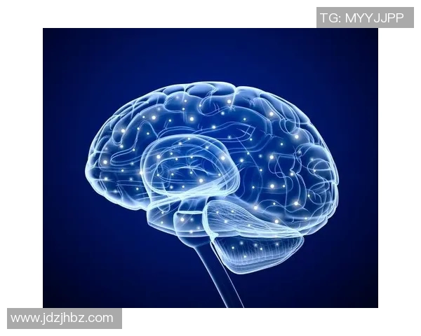 国家与利伯泰德的博弈:自由与秩序的深刻对话与思考